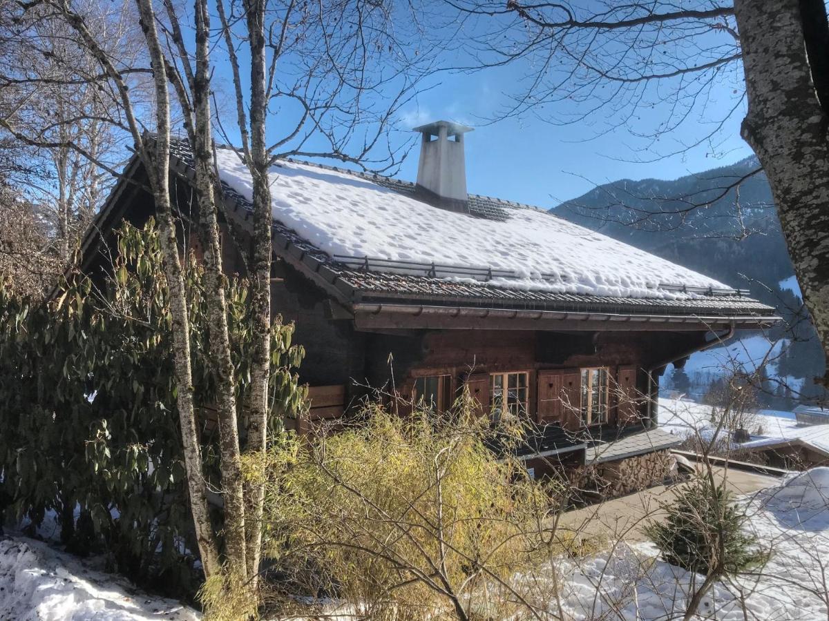 Willa Les Jumelles Gstaad Zewnętrze zdjęcie